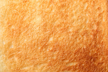 Toast bread texture background, macro. Banner for design
