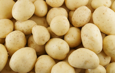 Many potatoes as background