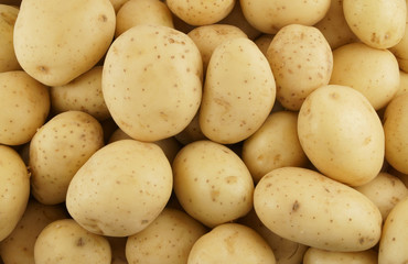 Potato background