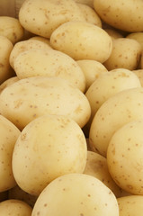 Many raw potatoes