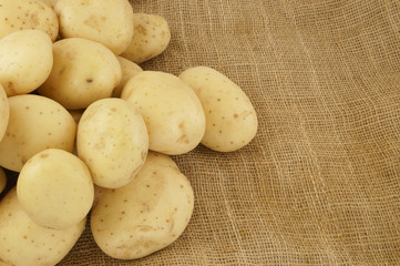 Potato on burlap sackcloth background