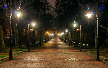 Night park and alley with lanterns