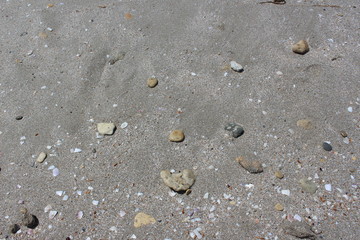 Calm waves on the shore