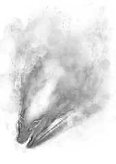 炎　イノシシ　アブストラクト　アート　イラスト