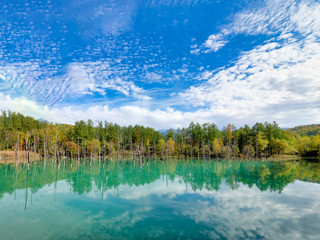blue pond scenic at biei