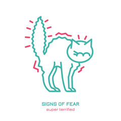 Cat fearful behavior icon
