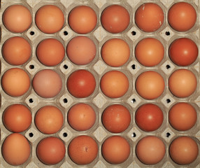 top view of Cardboard tray filled with brown egg