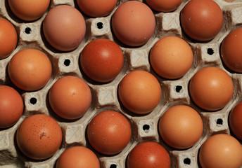 top view of Cardboard tray filled with brown egg