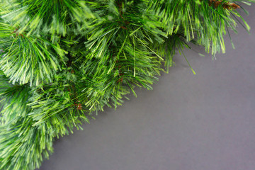 Green Christmas tree on gray background. Soft selective focus, copy space.