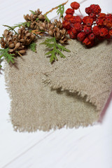 A branch of arborvitae, cones and mountain ash on a piece of linen fabric. The fabric lies on white painted wooden boards.