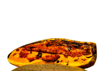 Amber in sun with inclusions on a white empty background