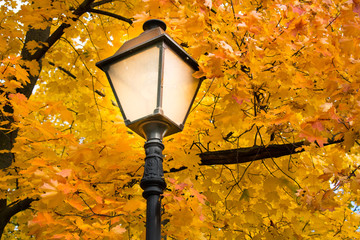 Old street lamp on the wall