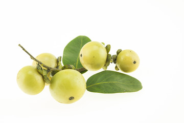 Obraz premium Ebony fruit