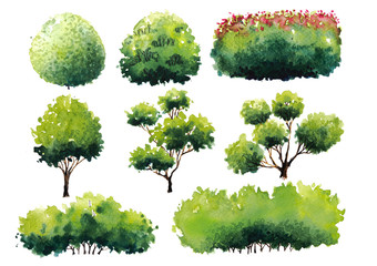 Collection plant shrub symbols of Landscape architect for decorate garden. Watercolor hand drawn painting with brushes strokes.Colorful splashing in the paper.It's wet texture background.