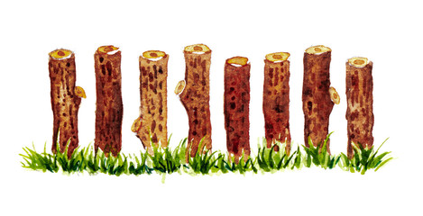 Symbols of Landscape architect plan design by watercolor hand drawn painting with brushes strokes. Floral pattern with young spring leaves and grass on old wooden fence.