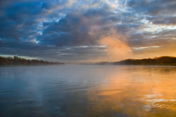Fototapeta na wymiar Nebelstimmung an einem Wintermorgen in den Rheinauen in der Ortenau