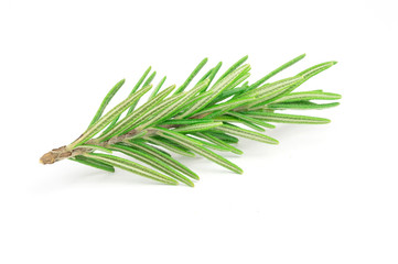 Rosemary leaves isolated on white background, top view