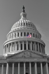 Capitol Building in Black and White with Colored American Flag