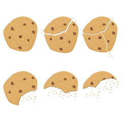 Chocolate chip cookie set. Vector.