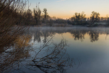 Frostiger Wintermorgen in den Rheinauen bei Kappel-Grafenhhausen