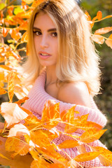 Naklejka na ściany i meble Beautiful young blonde woman in pink sweater posing in park with yellow leaves at background, autumn concept 