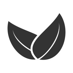 leaf icon vector