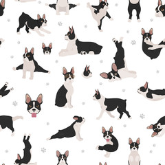 Boston terrier seamless pattern. Dog healthy silhouette and yoga poses background
