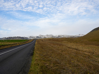 A panorama of a road in Iceland, with sheeps grazing on a green field and a some white mountains in the background. A quiet road trip. South of Iceland.