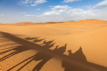 Camels and riders silhouetted on the sand