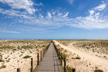 Fototapeta na wymiar the Ria Formosa Natural Park, Armona Island, Algarve, Portugal