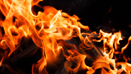 Fototapeta premium Texture of a flame of fire on a black background. burning fire in a stove closeup