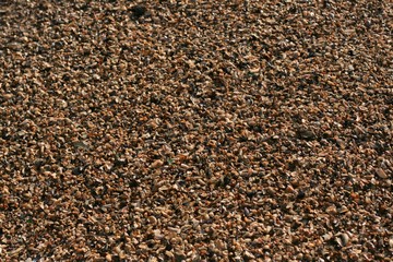 texture of wet sand on the beach washed by the sea