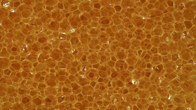Close up of yellow orange foam sponge as background