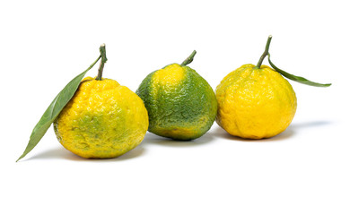 Ripe mandarin citrus isolated tangerine mandarine orange on white background.