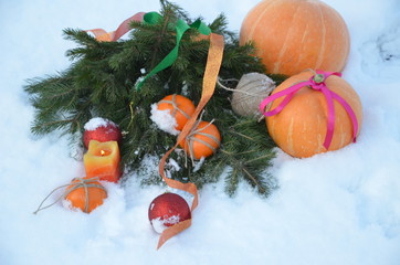 New Year and Christmas concept. Tangerines and spruce branch on fluffy snow. Russian winter....