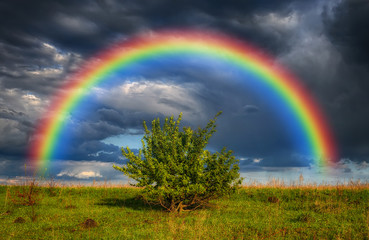 Naklejka premium rainbow over the field. picturesque field