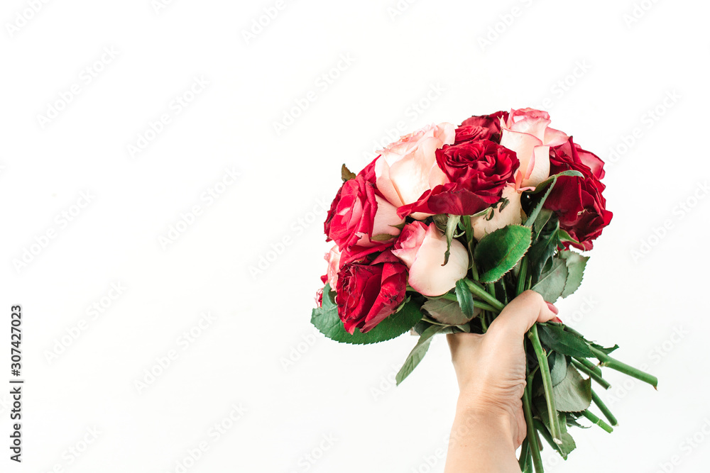 Wall mural female hand hold pink and red rose flowers bouquet isolated on white background. holiday, valentine'