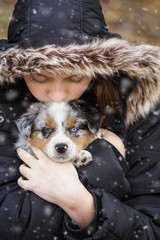 Beautiful teenage girl holds her six week old little dog in the snow outdoors. Selective focus on the Australian Shepherd puppy's face. He has one blue eye and one green.