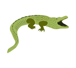 Australian animals. Vector illustration in flat style.The main symbols of the country.