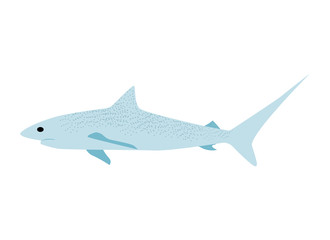 Australian animals. Vector illustration in flat style.The main symbols of the country.