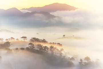 Stunning nature landscape of mountain and forest in foggy morning 