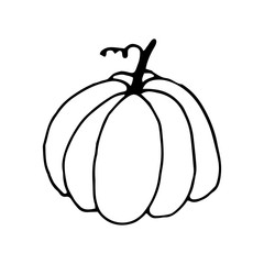 Pumpkin in doodle style on isolated white background. Thanksgiving Day, Halloween pumpkin icon. Vector autumn illustration. Decoration element. Vegetarian product. Black outline hand drawn.