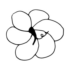 Pumpkin in doodle style on isolated white background. Thanksgiving Day, Halloween pumpkin icon. Vector autumn illustration. Decoration element. Vegetarian product. Black outline hand drawn.