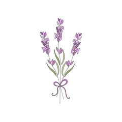 Obraz premium Bunch of lavender flowers vector