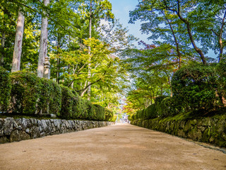 Paysage japonais traditionnel au milieu des temples dans la fôret de Koyasan, au Japon