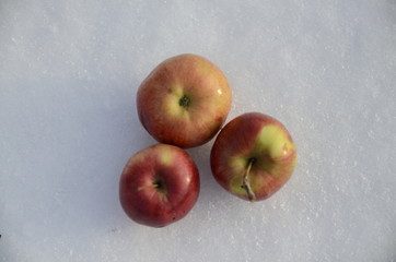  Winter. December. On the white snow are fresh vitamin red apples.