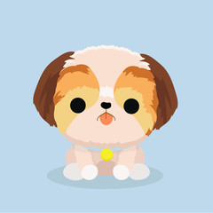 character shih tzu dog on pastel background..