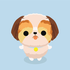 character shih tzu dog on pastel background..