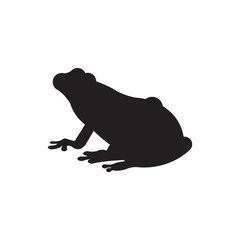 Frog vector on white background