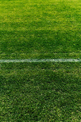 Detail of a soccer field with white line